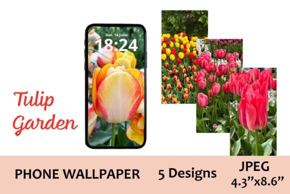 Download Keukenhof Tulip Phone Wallpaper - Premium Bundle